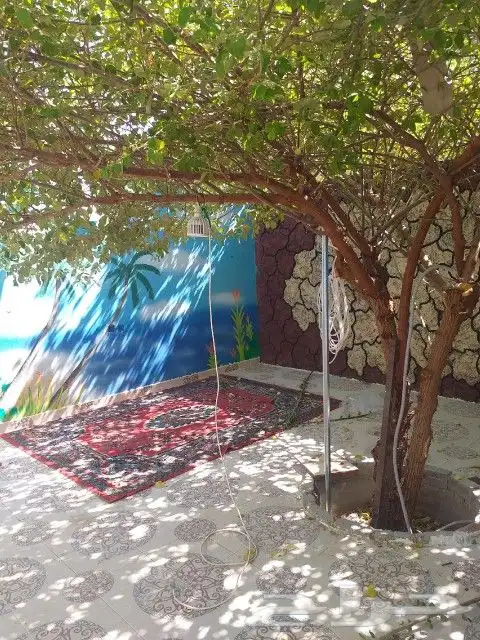 المدينة المنورة حي الملك فهد بالمدينة المنورة 19