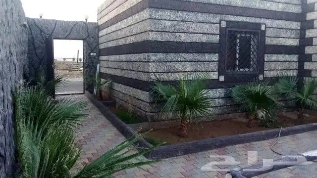 المدينة المنورة حي الملك فهد بالمدينة المنورة 0