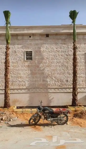 نخيل وشنطني زينه 0