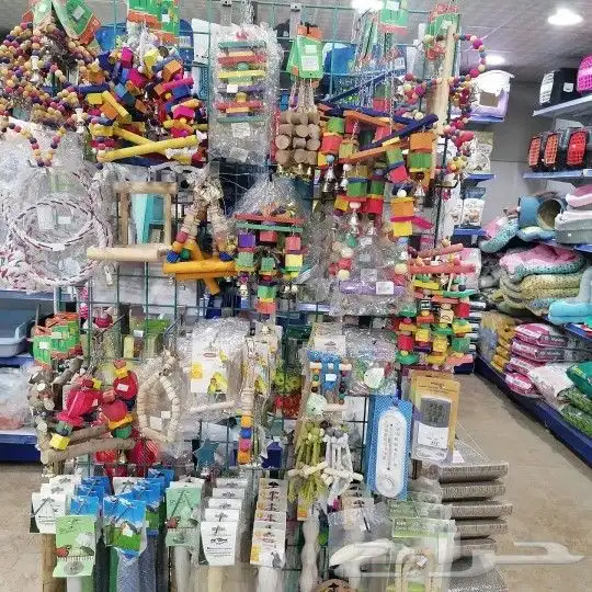 فروخ غر دره وروز وكروان 8