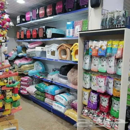 فروخ غر دره وروز وكروان 3