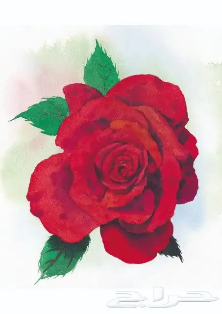 دعاية واعلان تبوك 10
