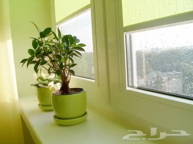 دعاية واعلان تبوك 8