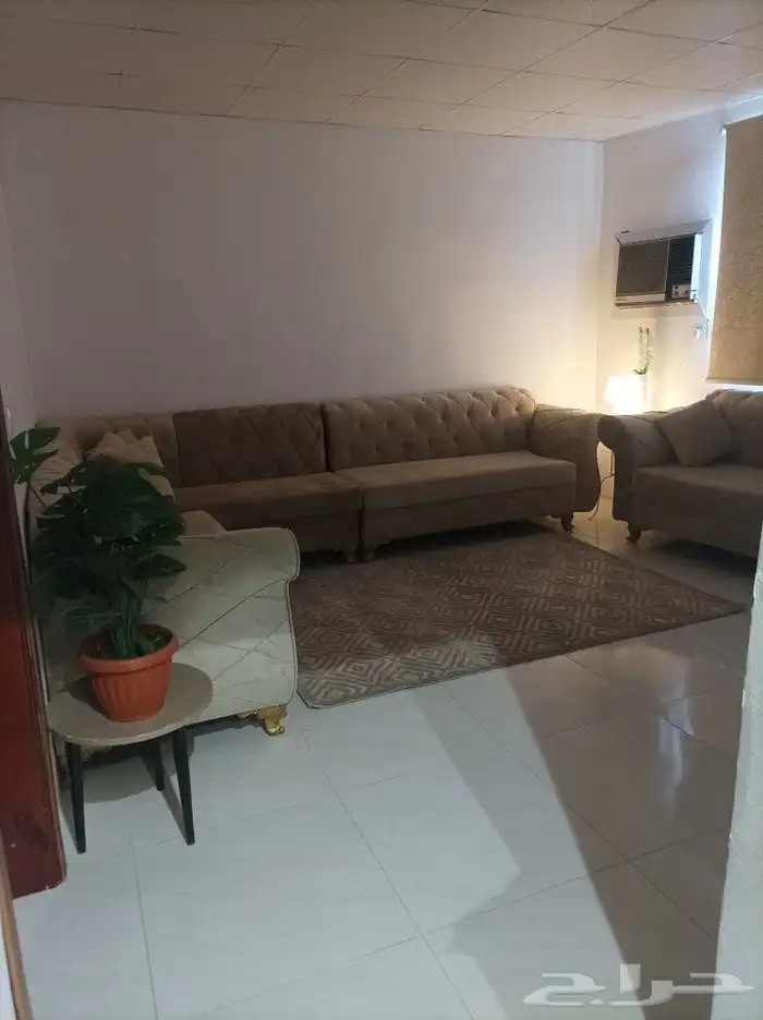 قطعتين 1300بحوش واحد ارض 650واستراحه 650 ومؤجره 16