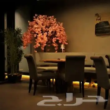 تصوير فتوغرافي   تصوير فديو 15