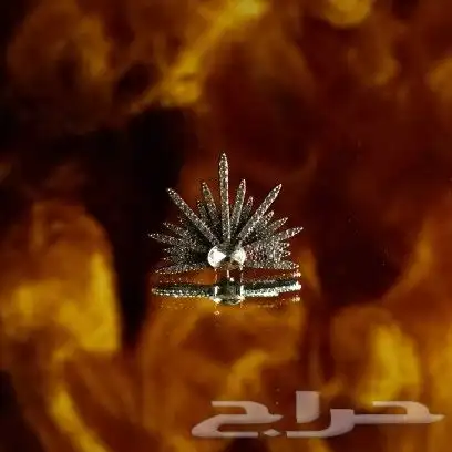 تصوير فتوغرافي   تصوير فديو 19