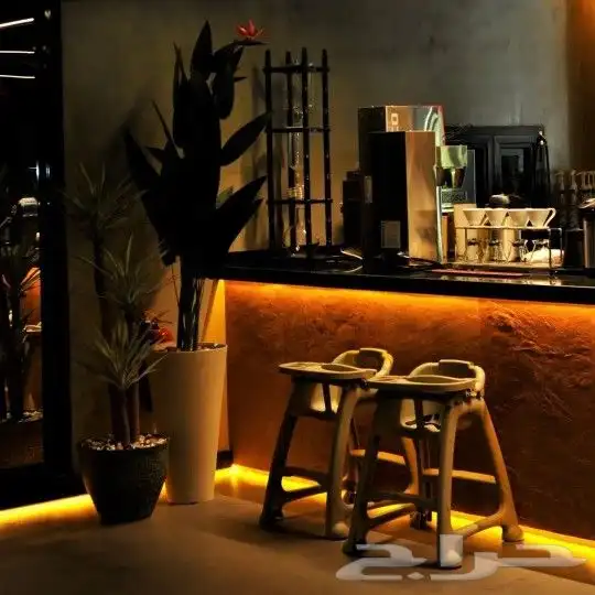 تصوير فتوغرافي   تصوير فديو 13