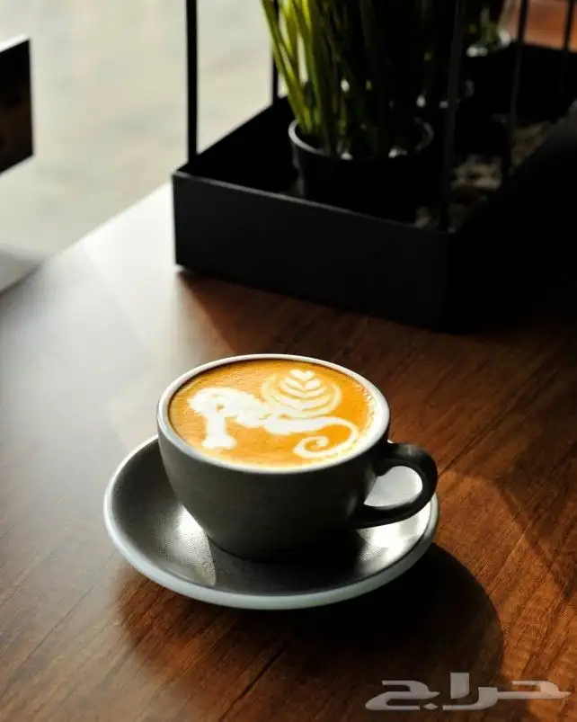 تصوير فتوغرافي   تصوير فديو 10