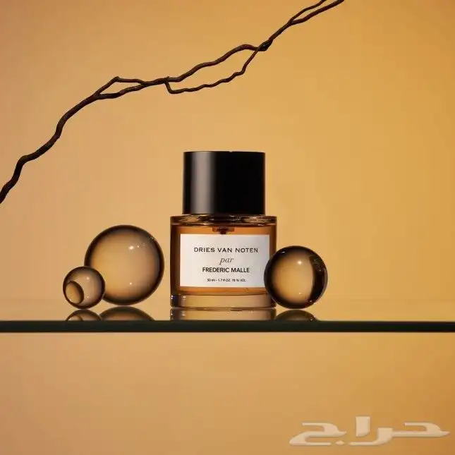 تصوير فتوغرافي   تصوير فديو 3