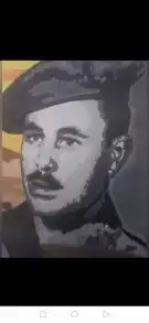 رسام وخطاط ورسم هندسي 45