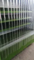 بيع وشراء ثلاجات عرض خضار 6