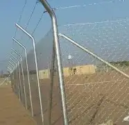 شبوك ونخيل الدمام 0