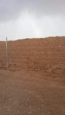 شبوك ونخيل الدمام 16