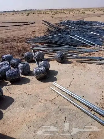 شبوك ونخيل الدمام 4
