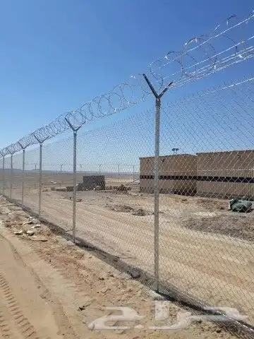 شبوك ونخيل الدمام 6