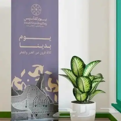 مطابع  مطبعه  بوكسات  علب  اكياس   ستكر  اكواب 7