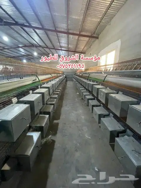 بطاريه ارانب 14عين 2