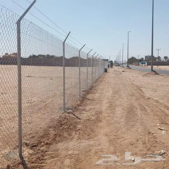 شبوك ونخيل الدمام 2