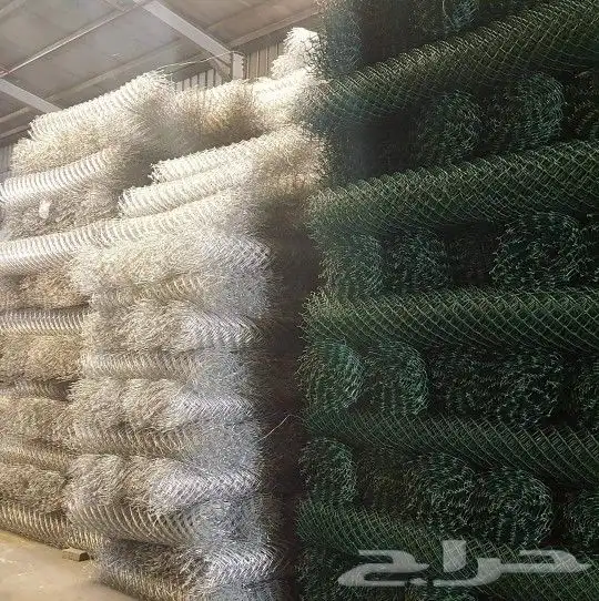 شبوك ونخيل الدمام 5