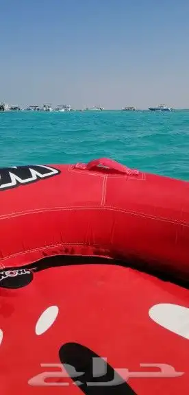 رحلات جزيرة بياضة 9