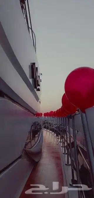 رحلات جزيرة بياضة 2