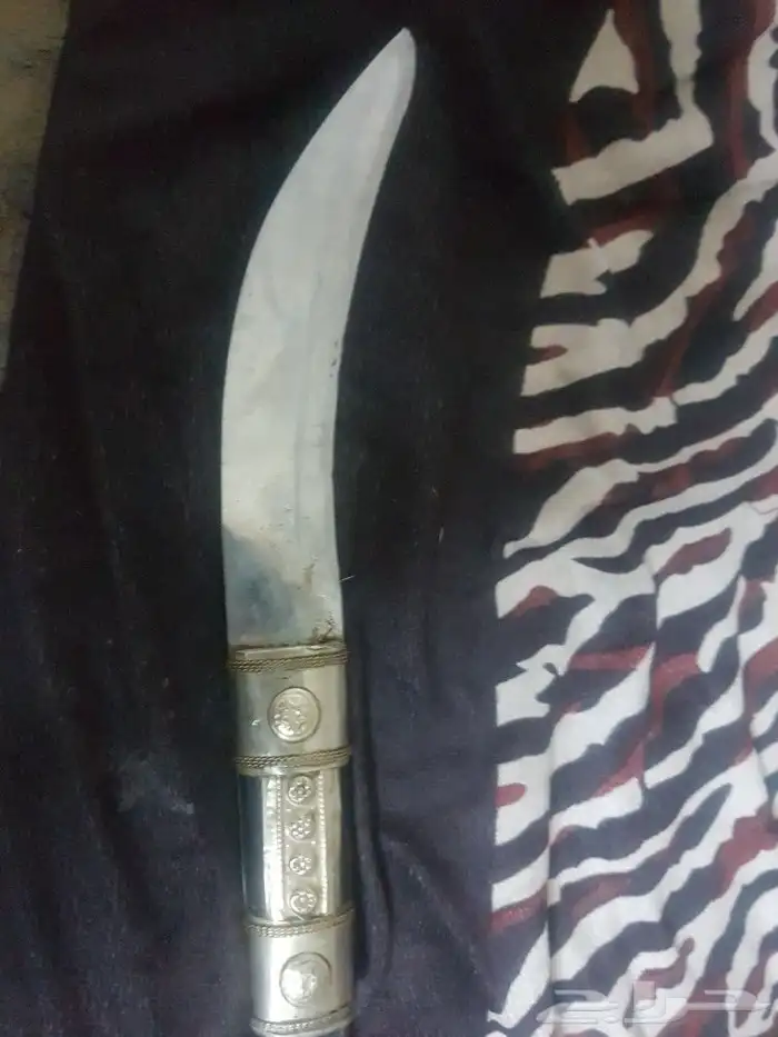 جنبية بريكية مفتوقة 2