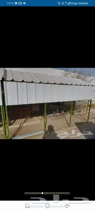 محاكر الدجاج والحمام 4