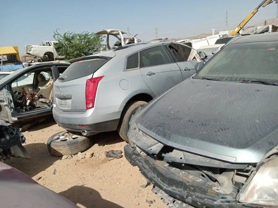 كدلك كدالك 0