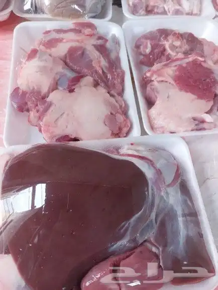 ذبايح للثلاجة وطبخ مع التوصيل 11