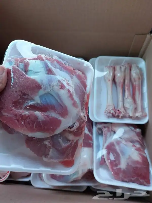 ذبايح للثلاجة وطبخ مع التوصيل 12