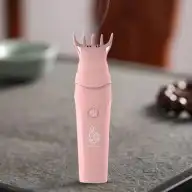 مبخرة شعر وسيارة جمله 4