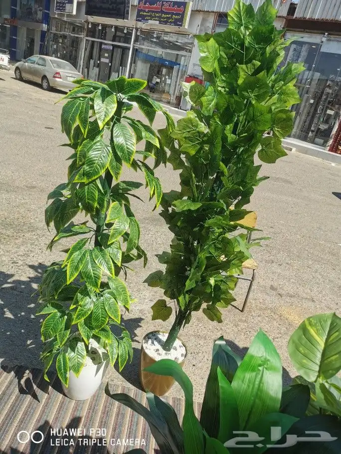 تشكيله اشجار صناعيه داخليه و خارجيه 19