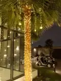 تركيب لمبات وزينه افراح 10