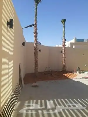 يوجد جميع انواع النخيل عربي وشنطني جميع المقاسات 2