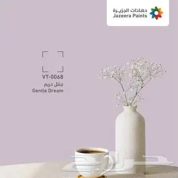 صباغ الدمام الخبر 6