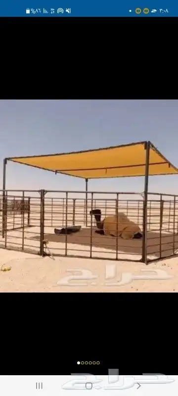مضلات أبل مضلات سيارات مضلات غنم غرف دجاج عشش دجاج صناديق 5