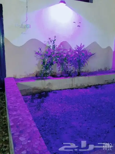 استراحة الدانه للمناسبات محايل. الحماطة 13