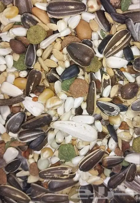 جميع أعلاف الطيور والببغاوات 0