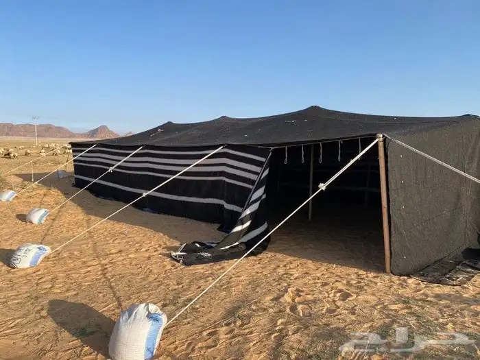 بيت شعر 1