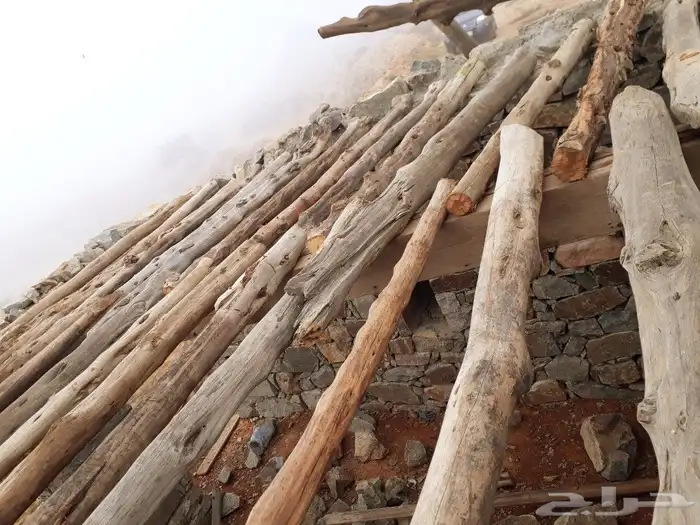 ابها الخميس النماص بلحمر تنومه العلايه باشوت 19