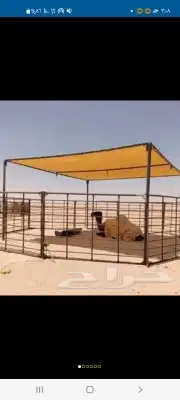مضلات أبل ذرف غنم ذرف أبل مضلات غنم جلسات حديد غرف دجاج عشش 12