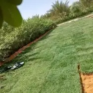 عشب صناعي وجداري 9