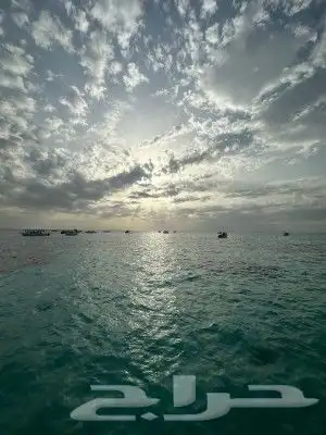 جزيرة بياضة رحلات مالديف جدة 6