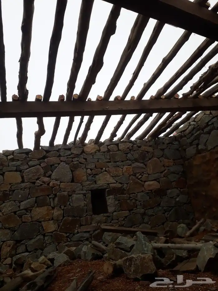 ابها الخميس النماص بلحمر تنومه العلايه باشوت 24