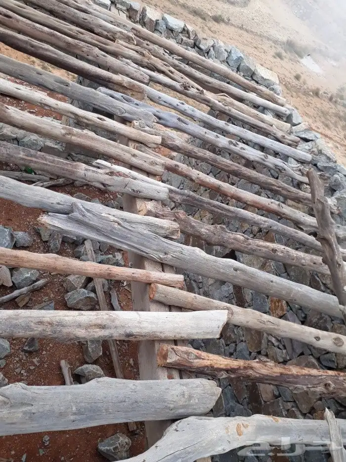 ابها الخميس النماص بلحمر تنومه العلايه باشوت 15