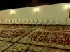ايجار كراسي 3