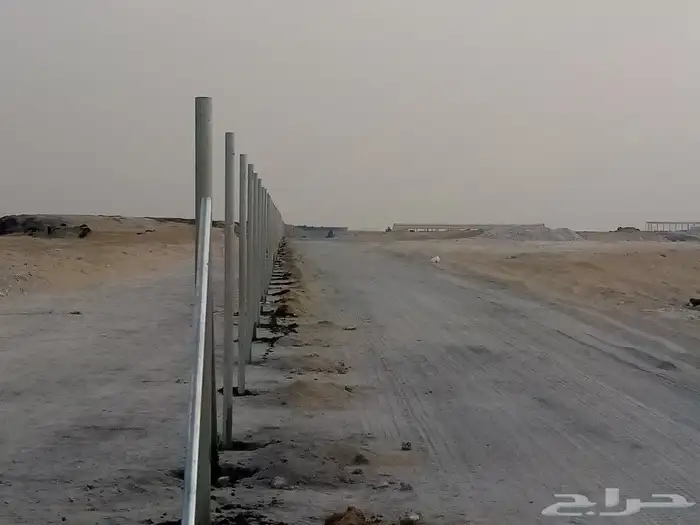 مقالات عامه شبوك نخل عربي واشنطن 3