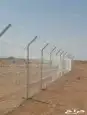 مقالات عامه شبوك نخل عربي واشنطن 0