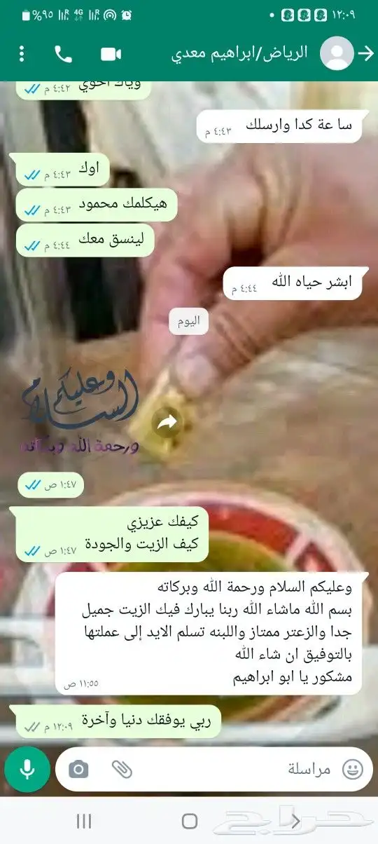 زيت زيتون فلسطيني بكر بعل جديد لكل السعودية 29