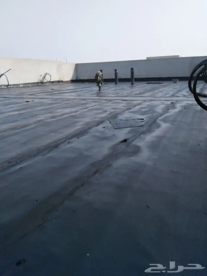 ينبع البحر ينبع النخل الهيئة الملكية 35